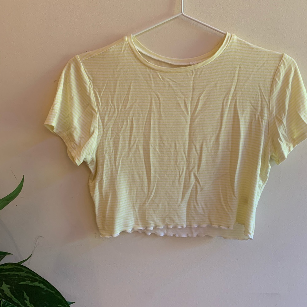 Pacsun cropped tee
